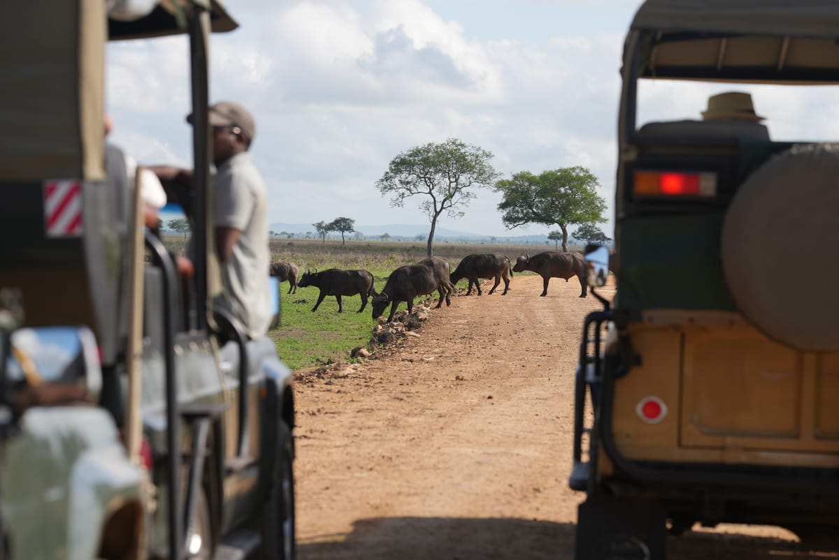 7 Marketing Secrets from Zanzibar for Saudi Tourism